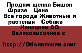 Продам щенка Бишон Фризе › Цена ­ 30 000 - Все города Животные и растения » Собаки   . Ненецкий АО,Великовисочное с.